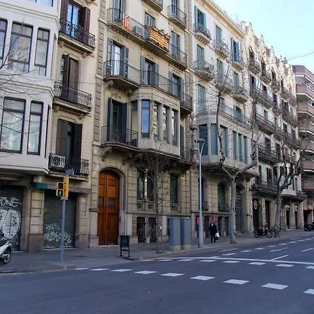 스위트 Bcn 유스 *